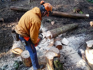 c0160488_145167.jpg