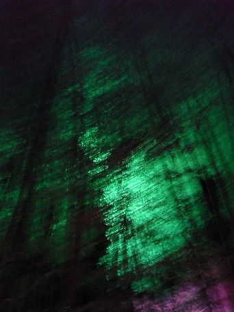 c0180788_1104436.jpg