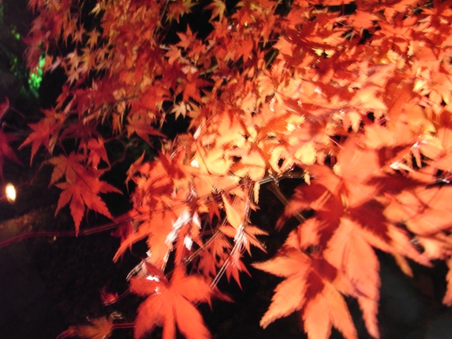 c0180788_143619.jpg