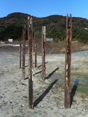 f0190988_1249209.jpg