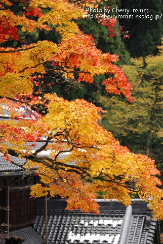 c0156789_21445740.jpg