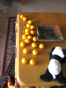 d0087194_9212450.jpg
