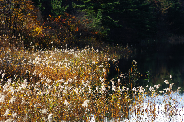 c0134295_0164277.jpg