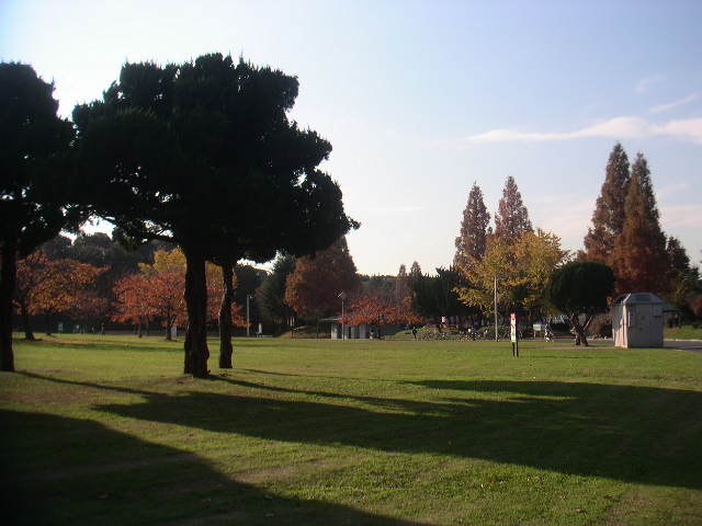 c0173896_0232463.jpg