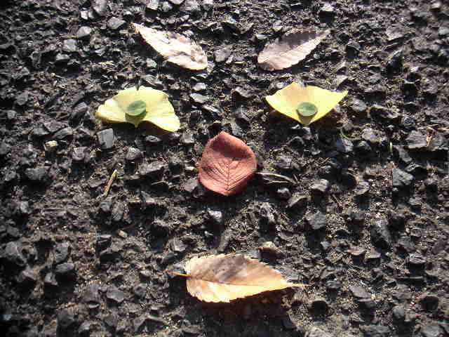 c0173896_026812.jpg