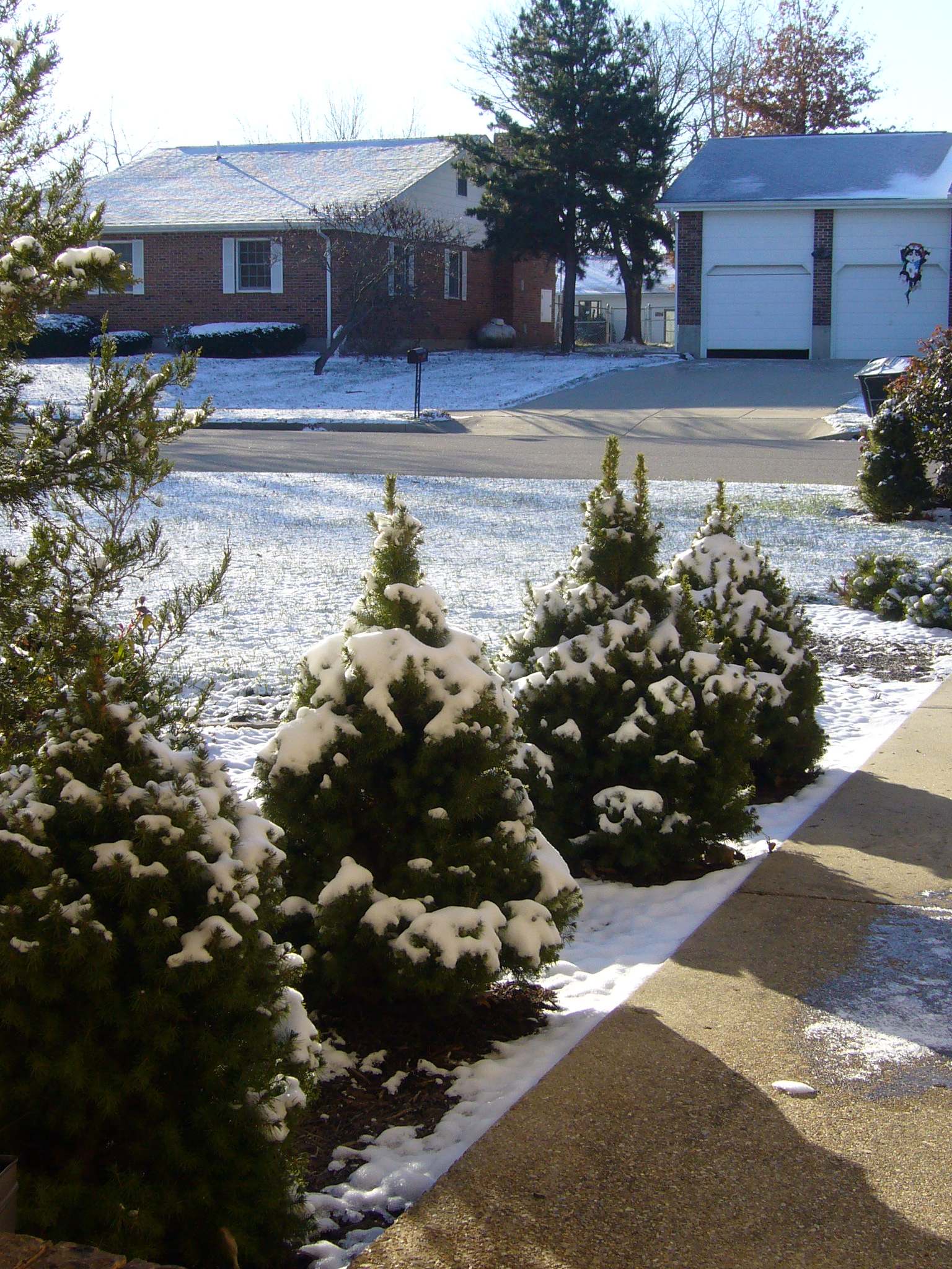 f0169397_14155895.jpg