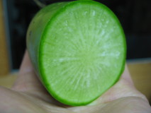 e0049598_2052057.jpg