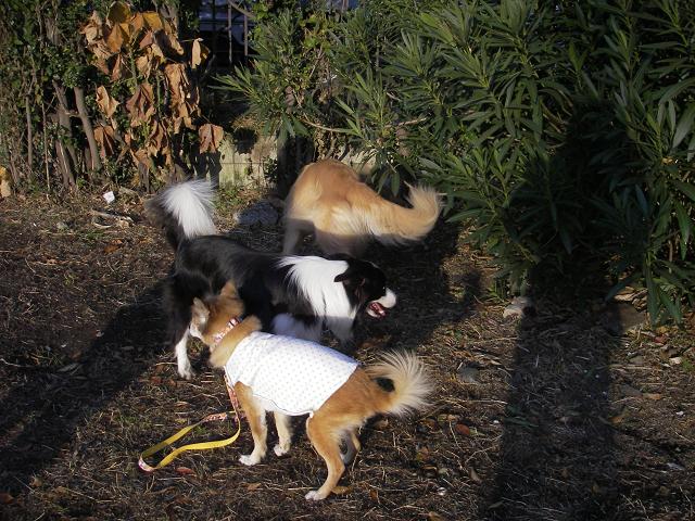 f0034602_18383469.jpg