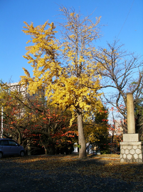 c0036203_18363625.jpg