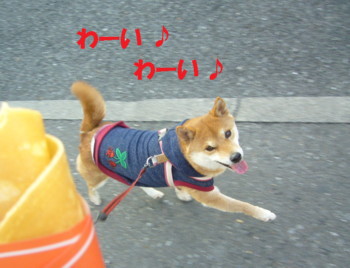 e0131506_23592231.jpg