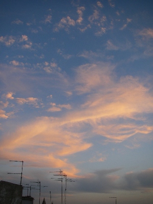 f0133814_8105927.jpg