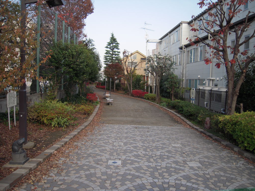 e0047216_160737.jpg