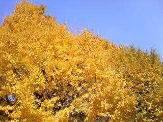 d0024220_2255679.jpg