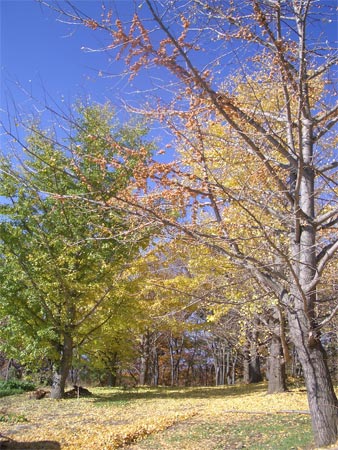 b0034422_23394543.jpg