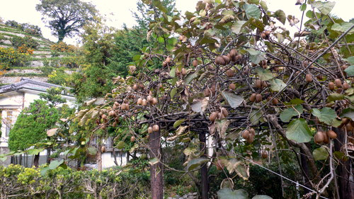 f0060424_0192869.jpg