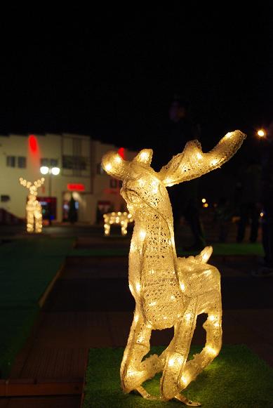 c0144427_22304532.jpg