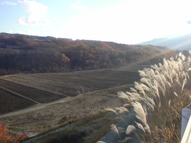 e0016828_22455862.jpg