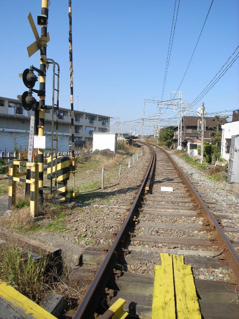 d0105133_20582183.jpg