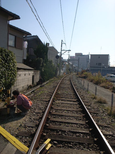 d0105133_20591861.jpg