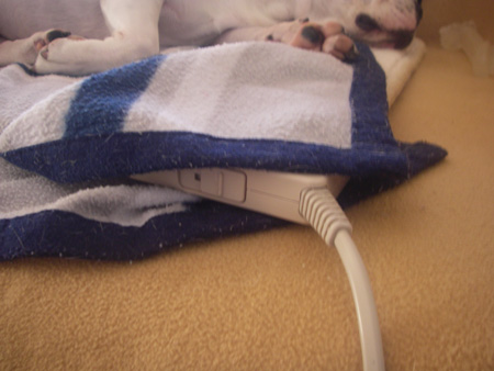 e0008833_11253761.jpg