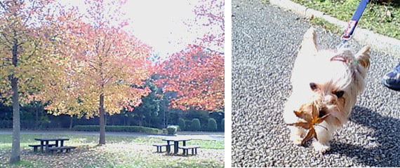 f0002833_17361499.jpg