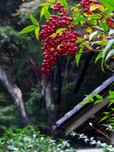 c0032138_21502846.jpg