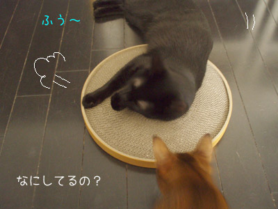 c0132438_22132128.jpg