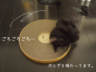 c0132438_22133750.jpg