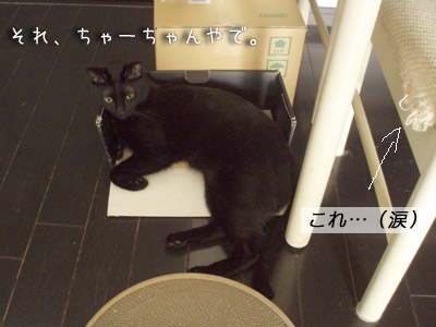 c0132438_2215361.jpg