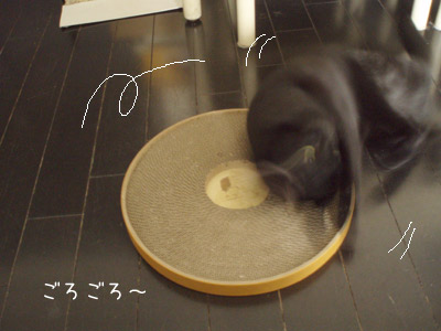 c0132438_2275930.jpg