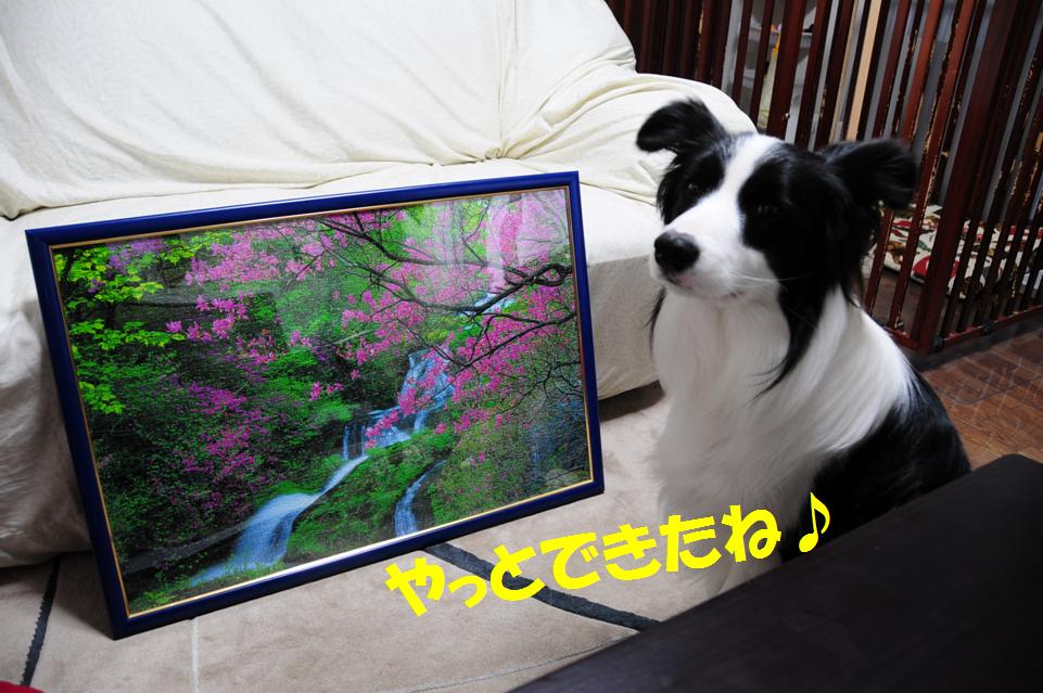 c0147241_1115090.jpg