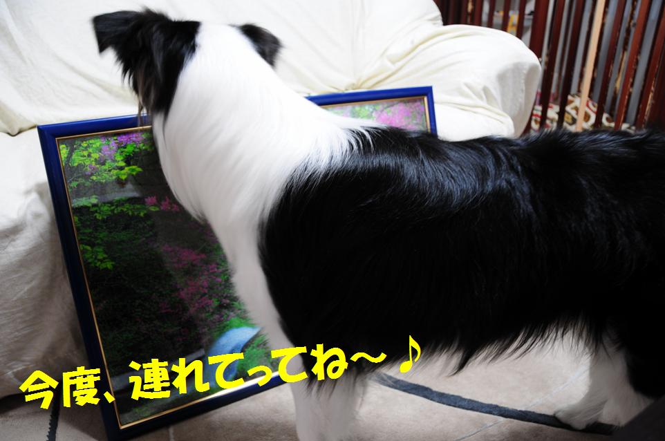 c0147241_112916.jpg