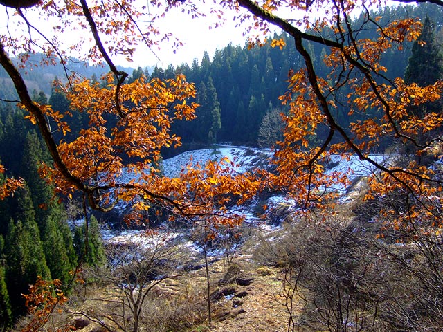 e0006242_1054486.jpg