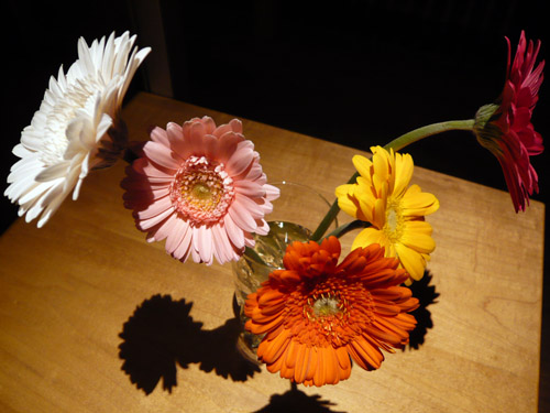 c0131544_012659.jpg