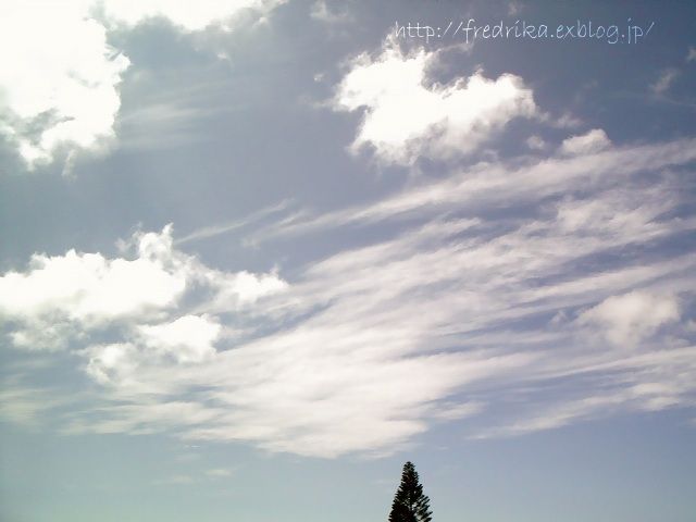 e0129046_5592144.jpg