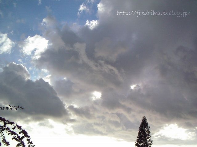 e0129046_5594942.jpg