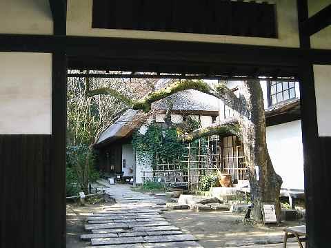 b0009849_20255946.jpg