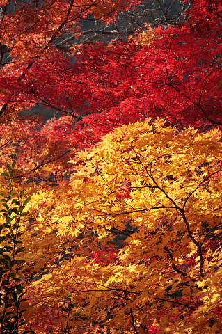 a0024250_23113270.jpg