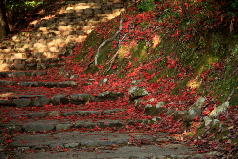 a0024250_23162079.jpg