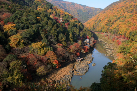 a0024250_23165227.jpg