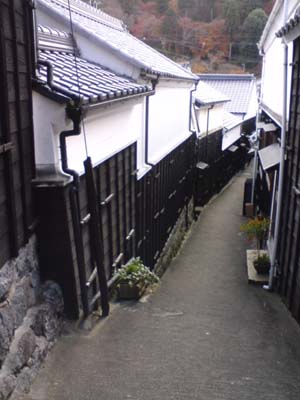 f0168256_759214.jpg