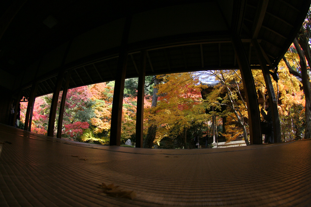 d0148060_1833763.jpg
