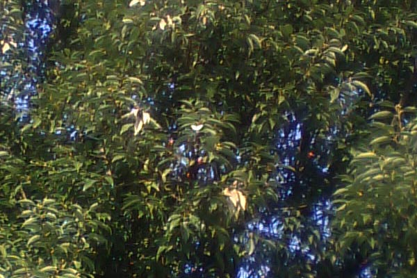 c0043361_23542994.jpg