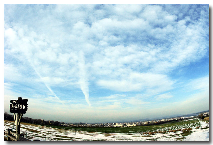e0165367_22404679.jpg