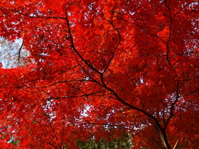 c0102268_23383040.jpg