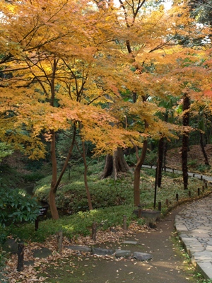 c0102268_23442064.jpg