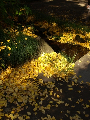 c0102268_2346440.jpg