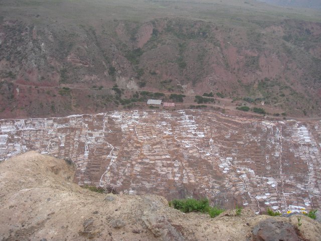 f0160069_10405463.jpg