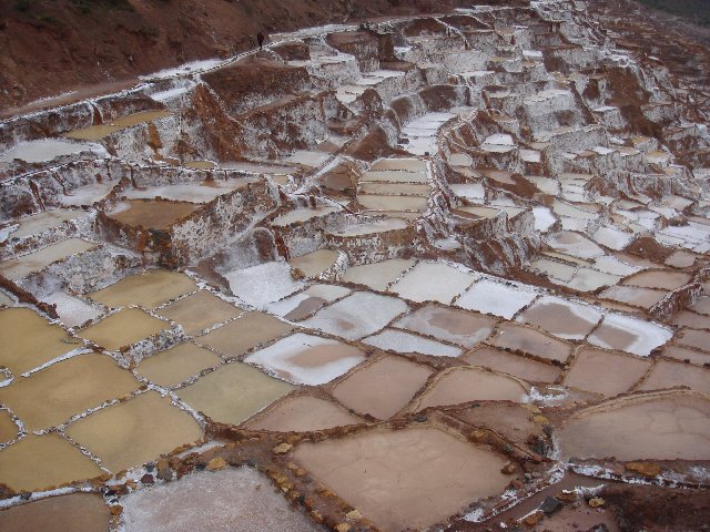 f0160069_1041523.jpg