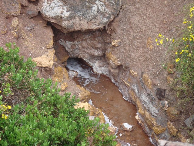 f0160069_10443584.jpg